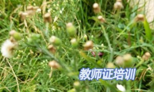 乌鲁木齐教师证报名_考试_报考条件