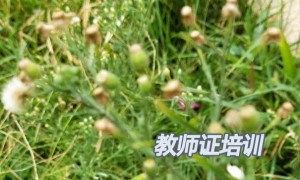 新疆教师证报名_考试_报考条件