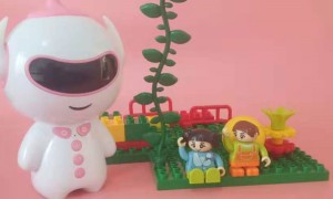 蚌埠少儿编程课多少钱一节课?一年大概多少学费?