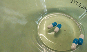 北京执业药师培训班-课程有哪些，学费多少钱