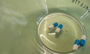 上海虹口区执业药师培训班-课程有哪些，学费多少钱