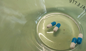 辽宁执业药师培训班-课程有哪些，学费多少钱