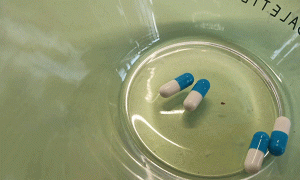 淮安执业药师培训班-课程有哪些，学费多少钱