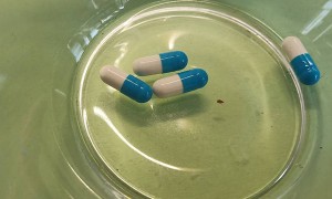 兰州执业药师培训班-课程有哪些，学费多少钱