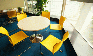 泉州丰泽区成人英语专业机构推荐，最新排名