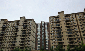 黑龙江造价工程师培训课程-培训什么内容-优路教育