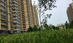 金华造价工程师培训课程-培训什么内容-优路教育