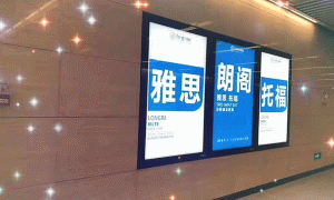 银川金凤区雅思暑期英语班报名_有零基础班和封闭班