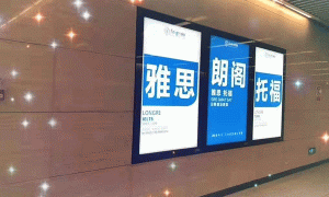 珠海唐家湾雅思暑期英语班报名_有零基础班和封闭班