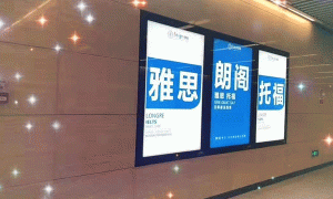 成都双流区雅思暑期英语班报名_有零基础班和封闭班