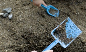 日照家庭教育指导师培训机构有哪些_价格