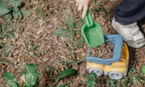 本溪家庭教育指导师培训机构有哪些_价格