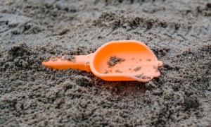 信阳家庭教育指导师培训机构有哪些_价格