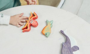 濮阳家庭教育指导师培训机构有哪些_价格