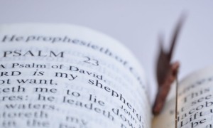 河南学历提升_正规，靠谱机构排名