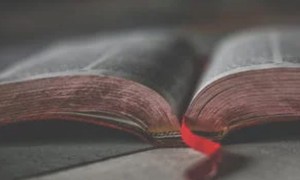 台州学历提升_正规，靠谱机构排名