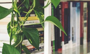 阳泉初级，中级，高级社会工作师培训辅导机构