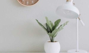 西安初级，中级，高级社会工作师培训辅导机构