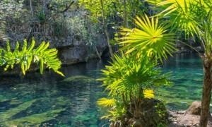成都心理咨询师培训在哪儿报名