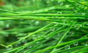 成都心理咨询师培训班报考条件