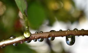 潍坊心理咨询师培训收费标准