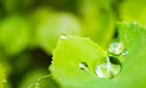 绵阳心理咨询师培训班在哪