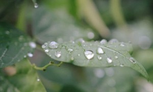 成都心理咨询师培训费用