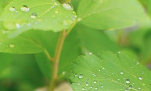 随州心理咨询师培训学校哪家好