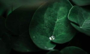 德阳心理咨询师在哪儿报考