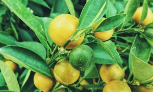 济南公共营养师培训地点