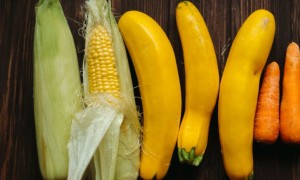 延吉公共营养师培训