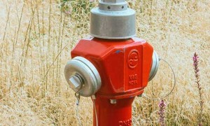 邢台应急救援员培训机构电话地址