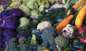 枣庄食品安全管理师培训学校有哪些