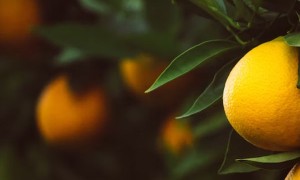 杭州食品安全管理师培训学校有哪些