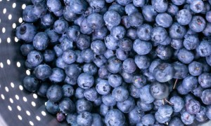 九江食品安全管理师培训学校有哪些