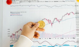 云南初级经济师考试时间_考试科目