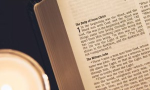 河北高职单招艺术培训机构