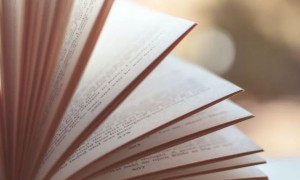 河北单招必须要培训吗