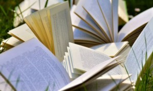 河北单招培训费用一般多少