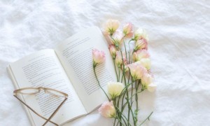 河北单招培训班有必要去吗