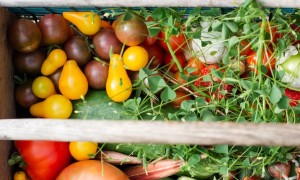 玉林健康管理师考试培训需要多长时间