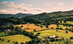 烟台乡村规划师培训合格证书报名