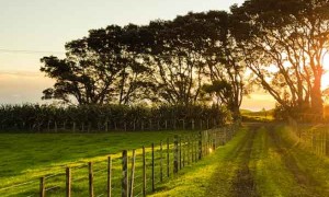 玉林乡村规划师培训合格证书报名