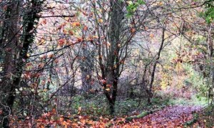 南宁乡村规划师培训合格证书报名