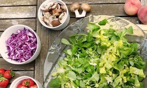 开封食品安全管理员培训证书在哪报名