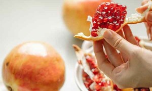 广西食品安全管理员培训证书在哪报名