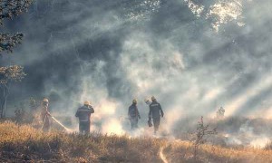 张家港消防工程师证怎么考？需要什么条件？