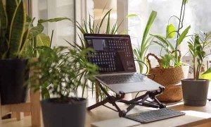 咸阳社工证怎么考