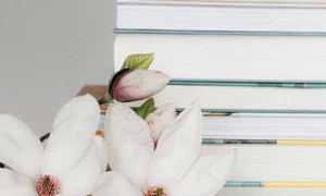 晋城教师招聘考试报名条件要求