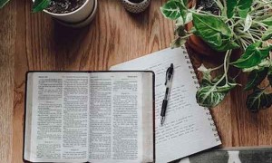 吉林教师招聘考试报名条件要求